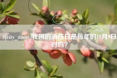 玉树我国的消防日是每年的11月9日对吗？