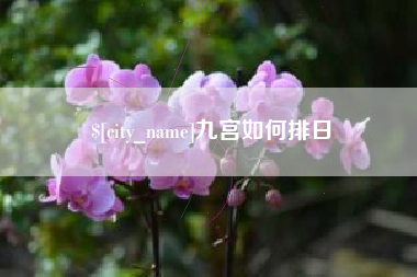 玉树九宫如何排日
