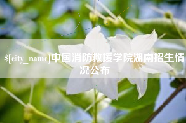 玉树中国消防救援学院湖南招生情况公布