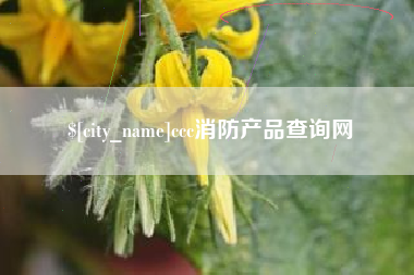 玉树ccc消防产品查询网