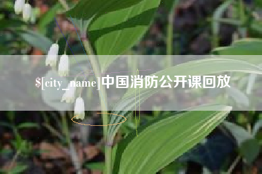 玉树中国消防公开课回放