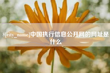 玉树中国执行信息公开网的网址是什么