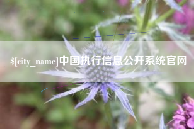 玉树中国执行信息公开系统官网
