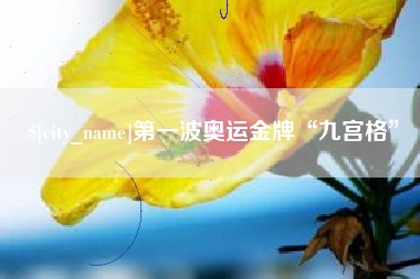玉树第一波奥运金牌“九宫格”