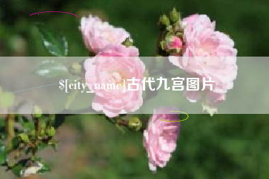 玉树古代九宫图片