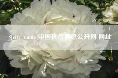 玉树中国执行信息公开网 网址