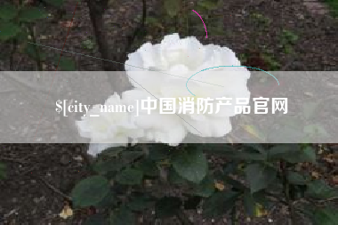玉树中国消防产品官网
