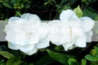 玉树中国的几块金牌2021