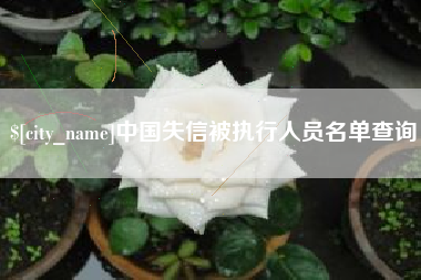 玉树中国失信被执行人员名单查询