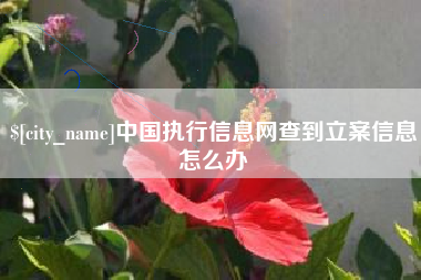 玉树中国执行信息网查到立案信息怎么办