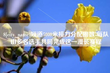 玉树短道5000米接力分配圈数-每队由多名选手共同完成这一漫长赛程