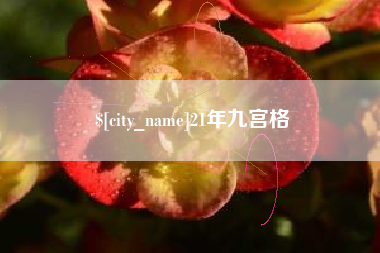 玉树21年九宫格