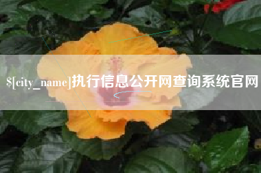 玉树执行信息公开网查询系统官网