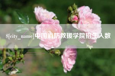 玉树中国消防救援学院招生人数