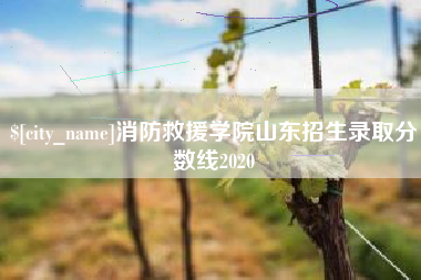玉树消防救援学院山东招生录取分数线2020