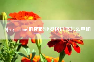 玉树消防职业资格证书怎么查询