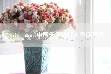 玉树中国失信执行人查询官网