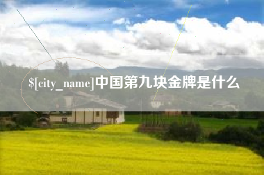玉树中国第九块金牌是什么