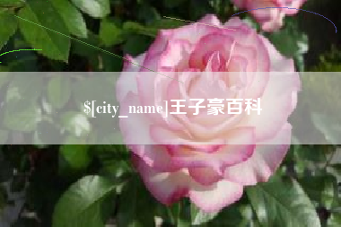 玉树王子豪百科