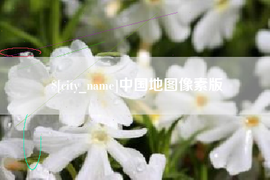 玉树中国地图像素版