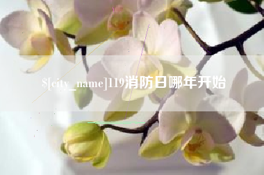 玉树119消防日哪年开始
