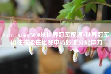 玉树5000米世界冠军配速-世界冠军们往往能在比赛中巧妙地分配体力