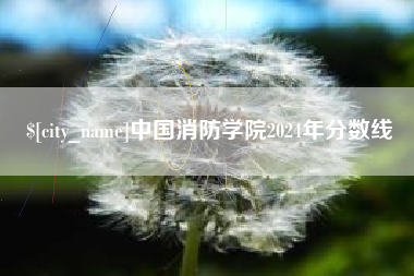 玉树中国消防学院2024年分数线