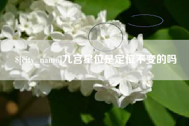 玉树九宫星位是定位不变的吗