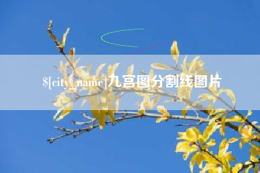 玉树九宫图分割线图片