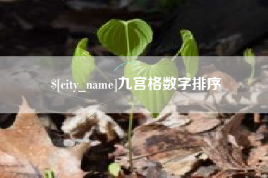 玉树九宫格数字排序
