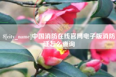 玉树中国消防在线官网电子版消防证怎么查询