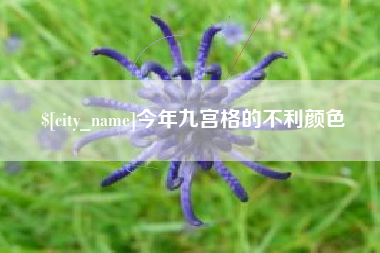 玉树今年九宫格的不利颜色