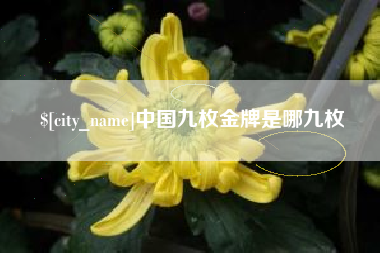玉树中国九枚金牌是哪九枚