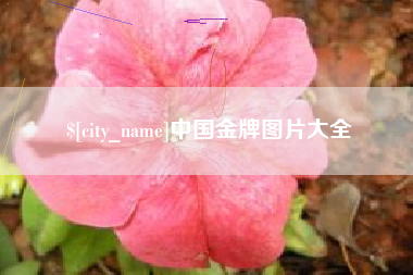 玉树中国金牌图片大全