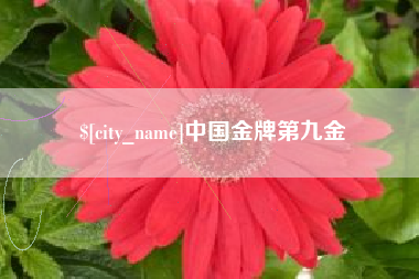 玉树中国金牌第九金