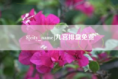 玉树九宫排盘免费