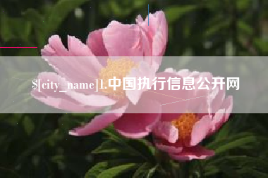 玉树1.中国执行信息公开网