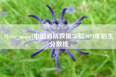 玉树中国消防救援学院2024年招生分数线