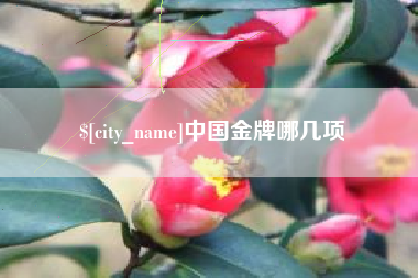 玉树中国金牌哪几项
