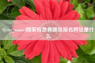 玉树国家应急救援员报名网址是什么