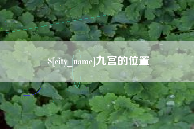 玉树九宫的位置