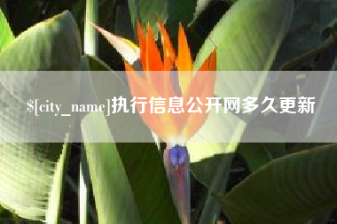 玉树执行信息公开网多久更新
