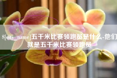 玉树五千米比赛领跑员是什么-他们就是五千米比赛领跑员