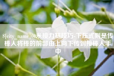 玉树60米接力赛技巧-下压式则是传棒人将棒的前部由上向下传到接棒人手中