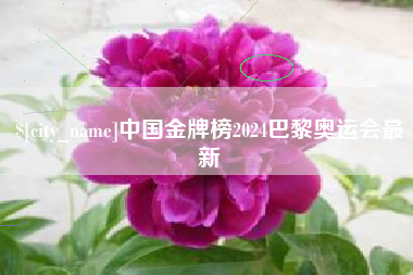 玉树中国金牌榜2024巴黎奥运会最新