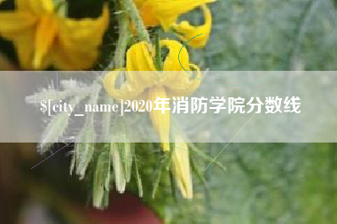 玉树2020年消防学院分数线