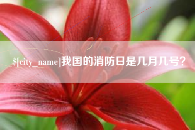 玉树我国的消防日是几月几号？