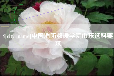玉树中国消防救援学院山东选科要求