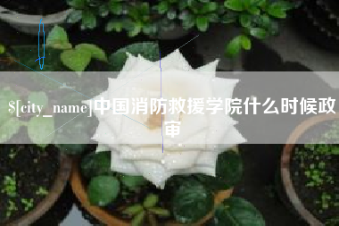 玉树中国消防救援学院什么时候政审