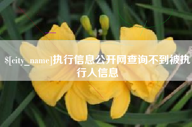 玉树执行信息公开网查询不到被执行人信息